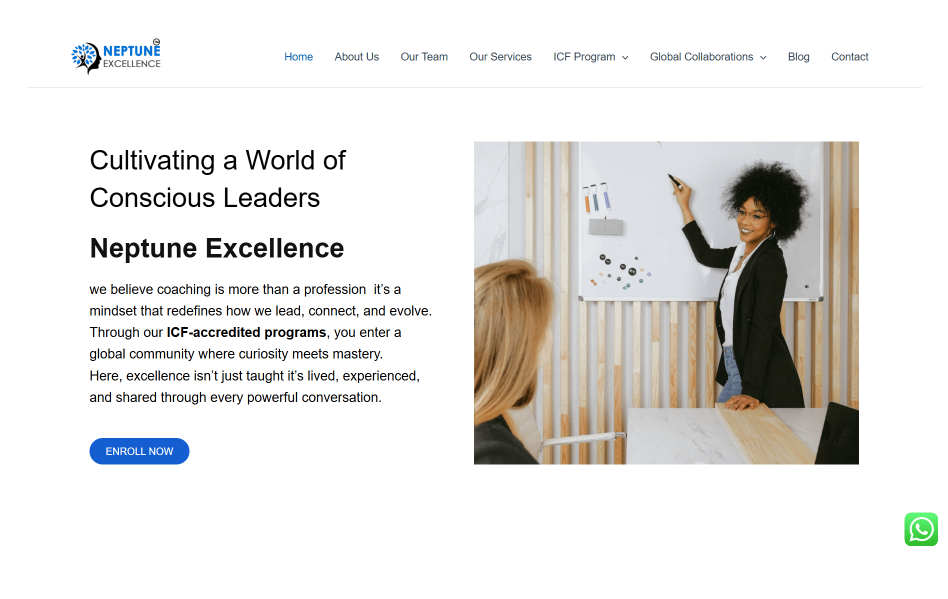Neptune Excellence corporate website